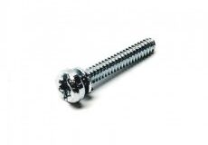 Fuel Pump Body Screw