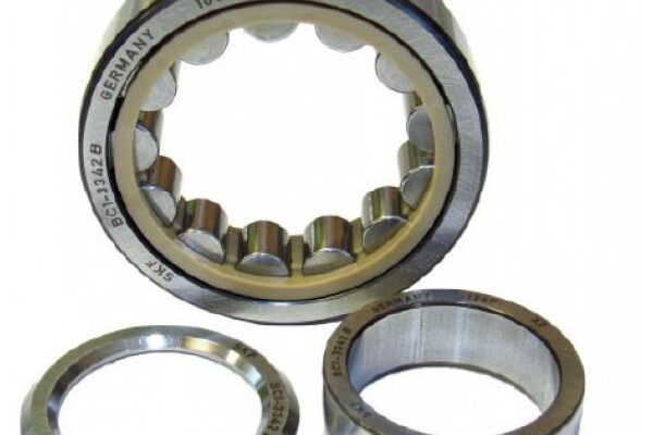 Iame x30 | SKF rollager krukaslager