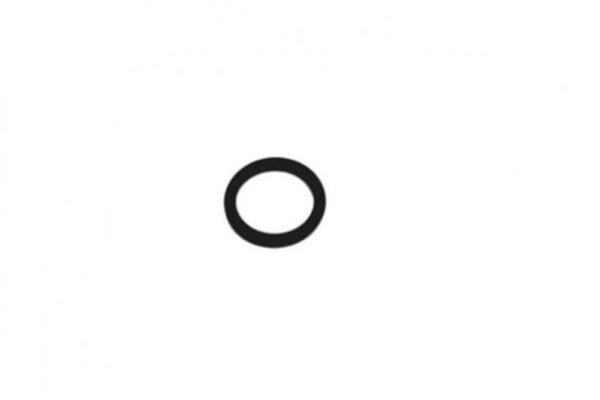 Iame x30 koppeling O-ring